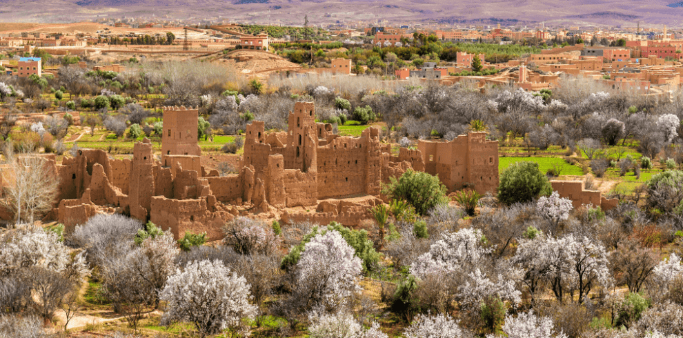 Marrakech to Dades