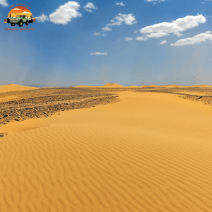 Zagora Desert