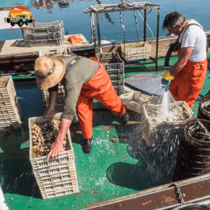 Port of Essaouira