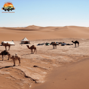 Visiting the Sahara Desert