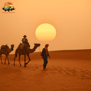 Visiting the Sahara Desert