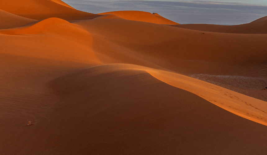 Exploring the Enigmatic Beauty of Zagora Desert