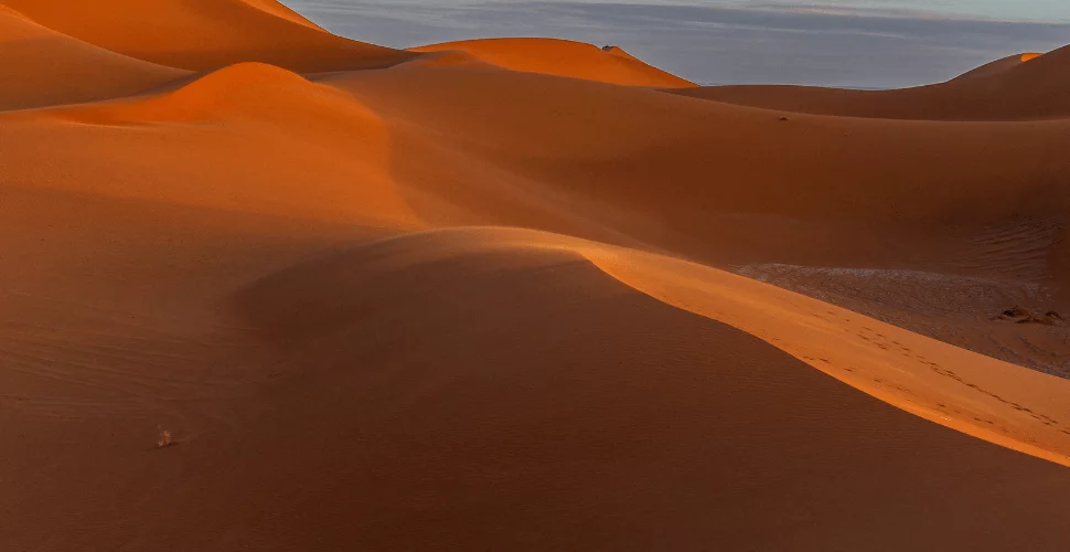 Exploring the Enigmatic Beauty of Zagora Desert