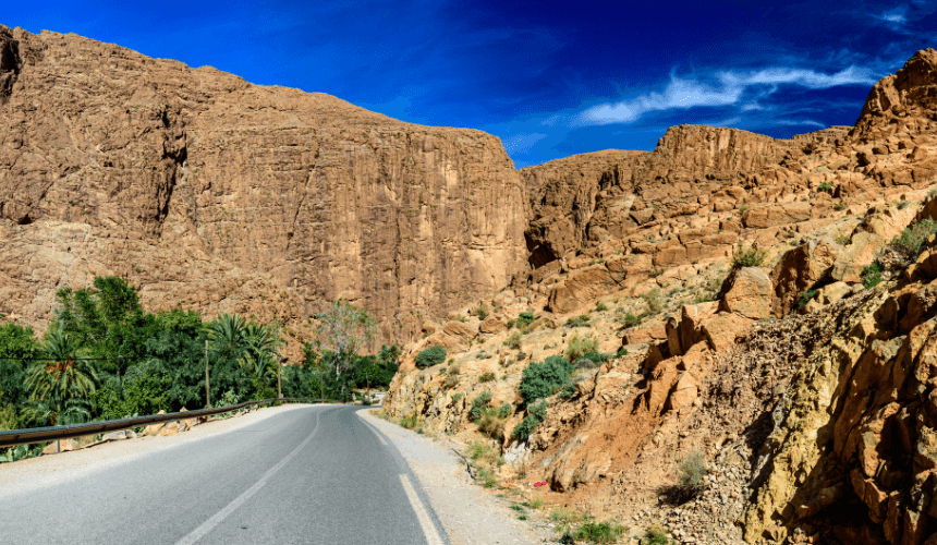 Exploring the Majestic Todgha Gorges