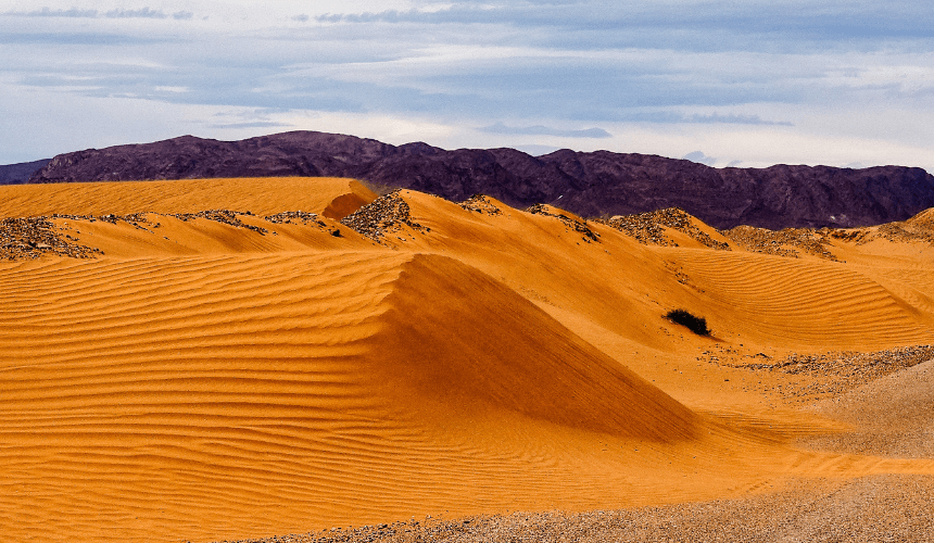 Exploring the Mystical Charm of Erfoud