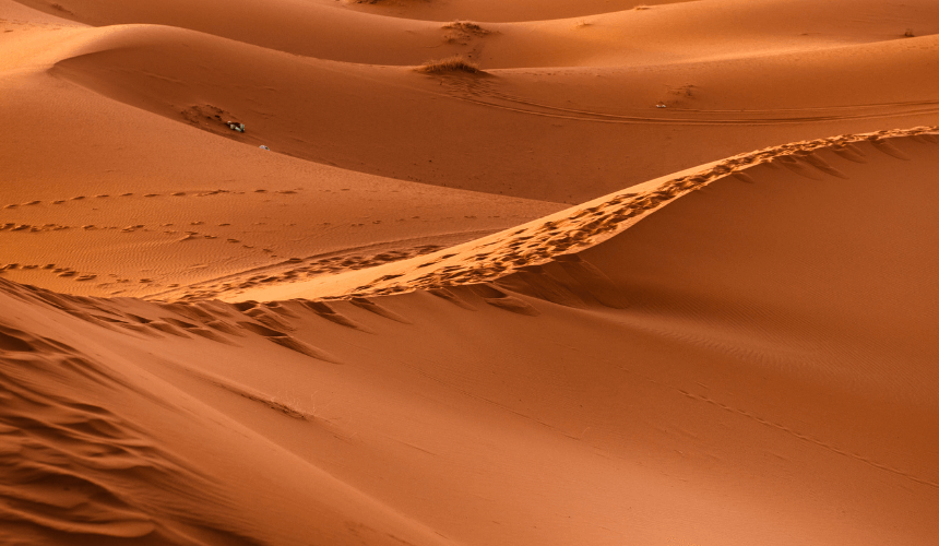 Essential Tips for Visiting the Sahara Desert