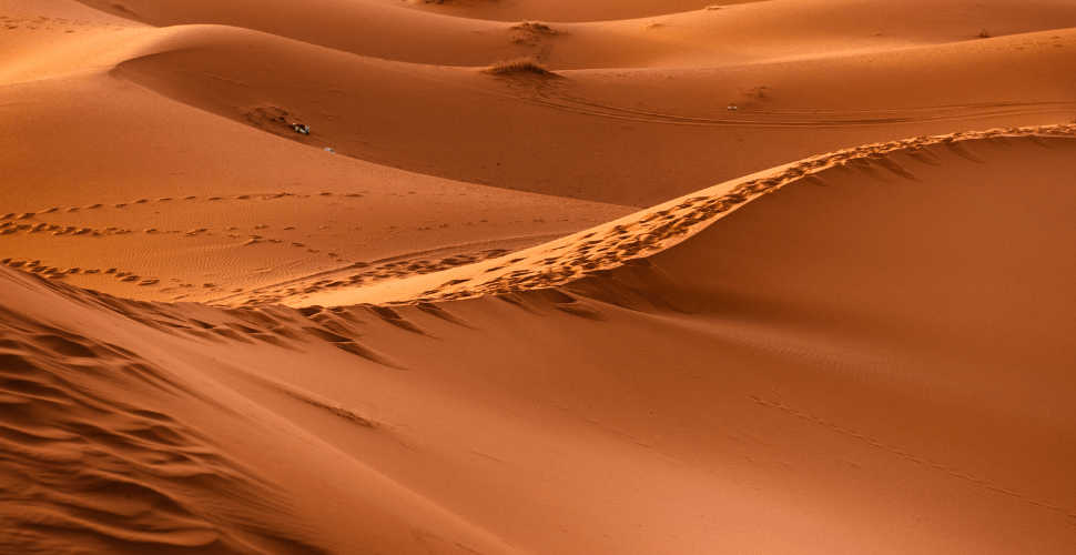 Visiting the Sahara Desert