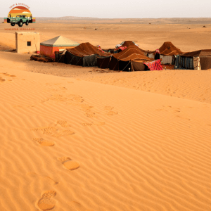 Bivouacking in the Sahara Dunes