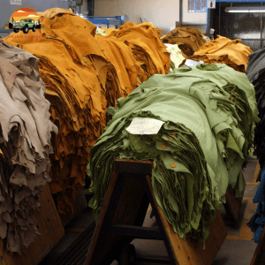 Tanneries in Morocco