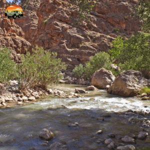 Swimming in the Dades Gorges