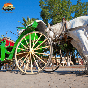 Horse Drawn Carriage