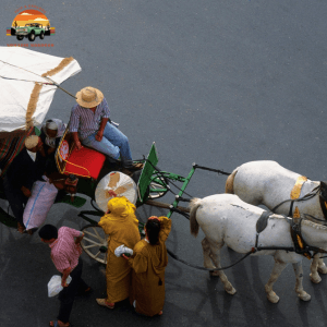 Horse Drawn Carriage