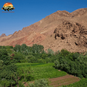 Swimming in the Dades Gorges