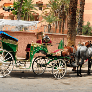 Horse Drawn Carriage