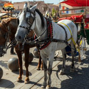 Horse Drawn Carriage