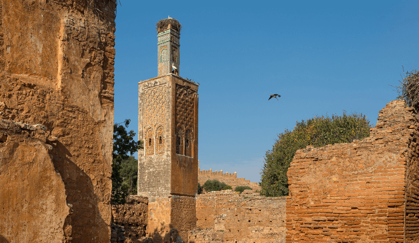 A Journey Through Morocco’s Ancient Past : Nécropole of Chellah