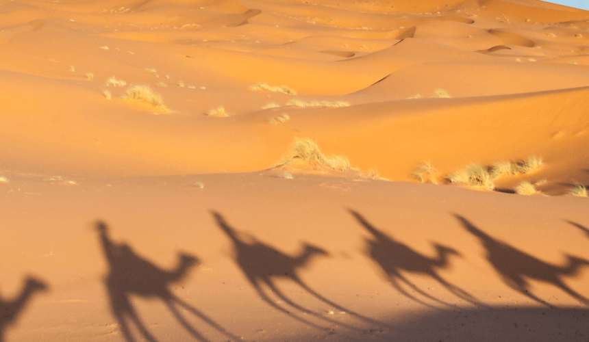 Bivouacking in the Sahara Dunes