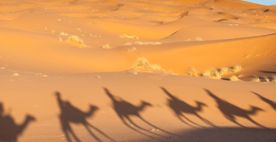 Bivouacking in the Sahara Dunes