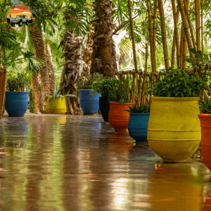 Jardin Majorelle