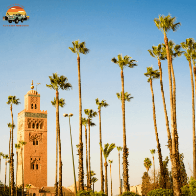 One day trip from Marrakech